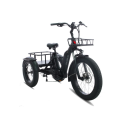 Vogue Diablo Big Foot – Elektrische Fatbike Driewieler voor Volwassenen