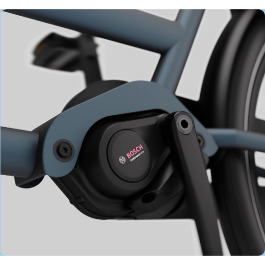 Dolly Joy Elektro-Lastenrad – Bosch Performance Line Black Matcha