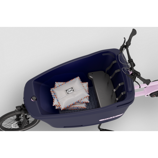 Dolly Joy Elektro-Lastenrad – Bosch Performance Line Black Matcha