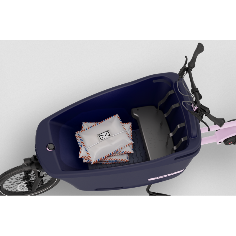Dolly Joy Elektro-Lastenrad – Bosch Performance Line Black Matcha