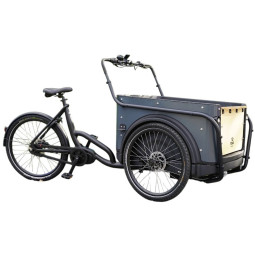 KidsCab Royal 3 vélo cargo électrique anthracite – Transmission à chaîne Nexus