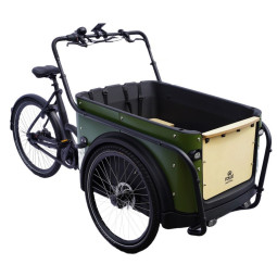 KidsCab Royal 3 vélo cargo électrique vert – Transmission à chaîne Nexus