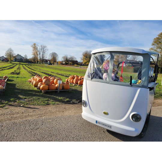 WEBER Bus pour crèche & accueil de la petite enfance – 6 places (0–3 ans)