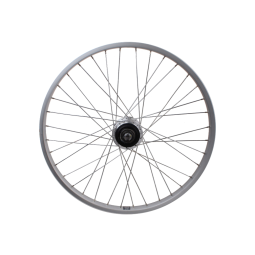 Johnny Loco Cargo Cruiser Roue Arrière 26" – Shimano Nexus 7 Vitesses