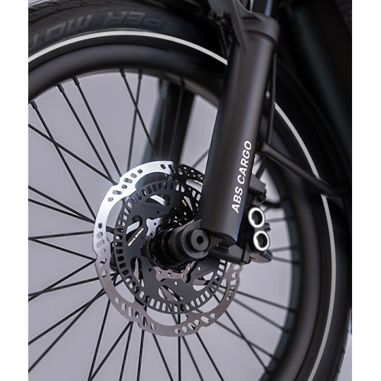 Lovens Explorer 2 S100 Elektrisches Lastenrad – Bosch Cargo Line 100Nm – Gates CDX