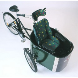 Nihola Rehab bakfiets voor gehandicapt elektrisch