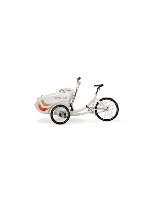 TrioBike Mono E - Mid drive 508Wh