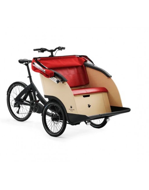Triobike taxi tricycle