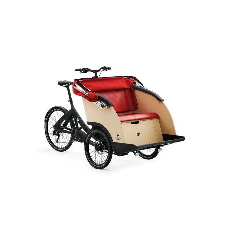 Triobike taxi tricycle