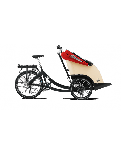 Triobike taxi tricycle