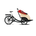 Triobike taxi tricycle