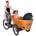 Babboe Carve Mountain