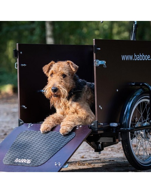 Babboe Dog electric dog cargo bike