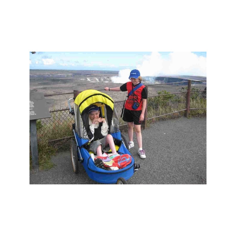 Wike Special Needs Extra Large – Bike Trailer for Adults & Larger Children (2-in-1 Mobility Trailer)