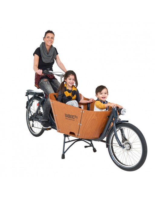 Babboe City Mountain cargo bike