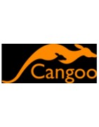 Cangoo electric cargo bikes | Affordable & fully equipped