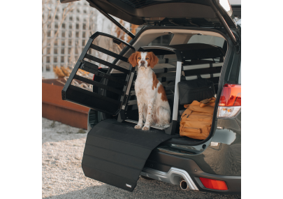 Die richtige Hundebox fürs Auto wählen | Sicher & komfortabel unterwegs